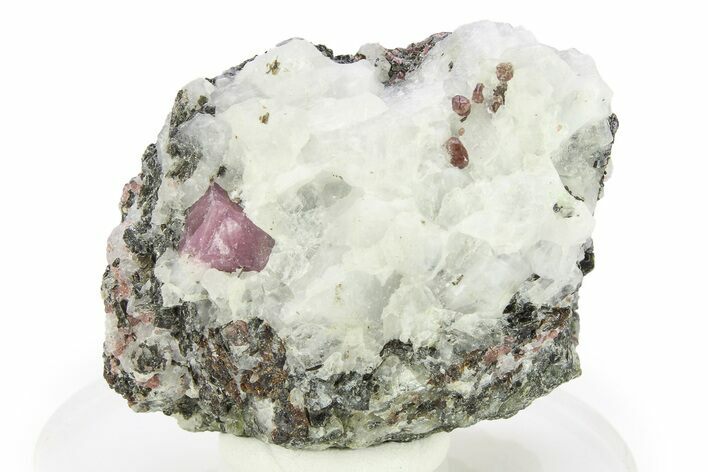 Fluorescent Ruby and Almandine Garnet in Matrix - Russia #283160